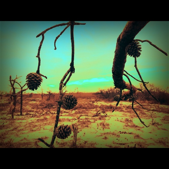 Meet your Posher, Angela 🦋🌊🦋🌊🦋🌊🦋 - Picture 5 of 16